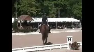 Paragon & Heather Blitz GPS2 2012
