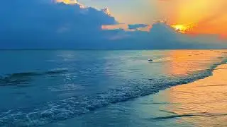 Tropical Beach Ambience ASMR | Soothing Ocean Sounds for Study, Relaxation, and Sleep