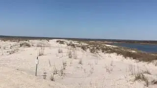 Things To Do In Stone Harbor NJ - Stone Harbor Point Beach