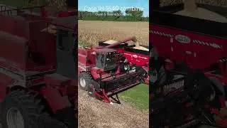 Case IH 1640 #farming #farmer #farm #farmvideos #farmvideo #canada #caseih #shorts #combine #tractor