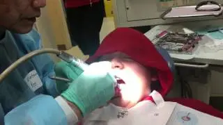 02/04/17 visiting the dentist isn't painful or scary.