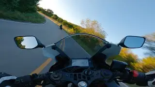 Yamaha YZF-R3 w/ Yoshimura Alpha-T Full Exhaust - RAW [Pure Engine Sounds]
