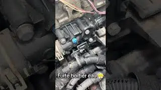 Fuite bo&icirc;tier eau 206 😤😤