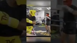 WOW:  Floyd Mayweather Handing Out Boxing Lessons🤯🤯2023 #shorts #boxing #Mayweather