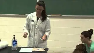 Fecal Collection Video