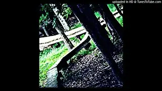 Walking Radon - Nervous Young Men