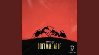 Don&rsquo;t Wake Me Up (Radio Edit)