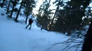 trailblazing 101