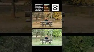 Moody fall capcut color grading tutorial| capcut color grading #youtubeshorts #videoeditingtutorial
