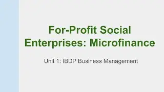 1.2.6 Microfinance | IBDP Business Management