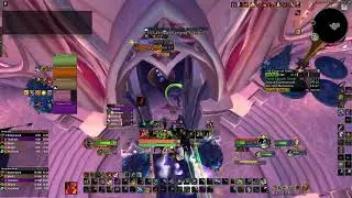 COS +18 Survival hunter 77k DPS (Court Of Stars)