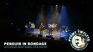 Pygmy Twylyte (Zappa Tribute, Scotland) - Penguin In Bondage (live at Eden Theatre, Inverness 2018)