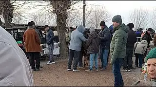 МОЛБОЗОРИ  МАСТЧОХ 1111 МОЛБОЗОРИ ЯКУМ УЧАСКА ХАТМАН ЛАЙКОРА ЗАНЕД ОБУНАШЕД ДУСТОН
