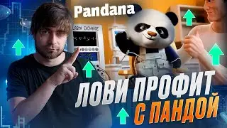 Pandana ($ PNDN ) - первая монета ПАНДА мемкоин! Пресейл уже идет!