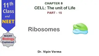 70S vs 80S Ribosomes Fully Explained | Cells: The Unit of Life Part - 15 | NCERT Biology NEET
