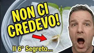 9 Regole d'Oro per la Germinazione PERFETTA (Checklist 2026)