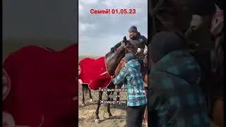 Бәйге Семей қаласы! 01.05.23