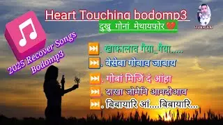 Best Of 💔 Heart Touching Bodomp3 || Superhit Bodo Collection Songs 🥀 #bodosong @vfxmagicbb