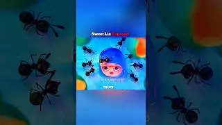 Sweet Lie Exposed #shorts #animation  #cartoon