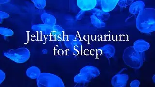 5 Hours of Meditative Music for Sleep and Deep Relaxation