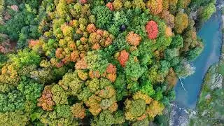 Fall Autumn Colours of Scarborough, Ontario Canada.  Bird's eye view of Highland Creek 