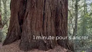 Pause d&rsquo;ancrage guid&eacute;e 1 minute | Respiration consciente & affirmation | Pause du Lundi
