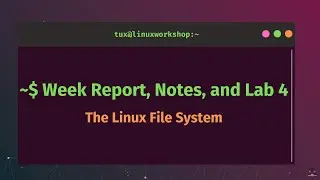 Week Report , Notes, and Lab 4 - The Linux File system