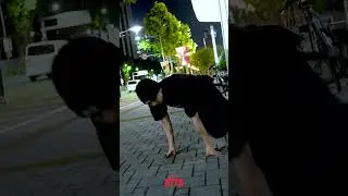 [ BTTS : 016 ] BACK TO THE STREET #3