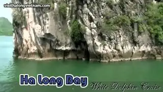 White Dolphin Cruise Ha Long - Introduction by VisitHalongVietnam.com