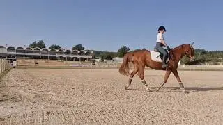 we start laying the foundations for 1* eventing dressage with Joyce...
