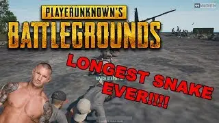 LONGEST SNAKE IN PUBG