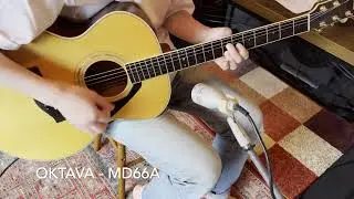 Retro Mic Collection - OKTAVA MD66A