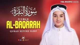 Surah Al-Baqarah (سورة البقره) | Soft Relaxing Voice with Lofi Quran | Habibullah TV