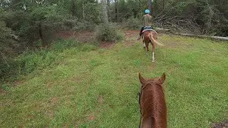 Trail time with My Best Horse Draco and my wife/Bojangles