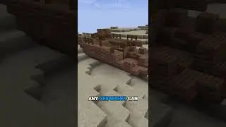HOW To Get *BAMBOO* If There Are NO Jungles In MINECRAFT!