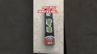 Rooted Labs Disposable (SFV OG)