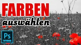 Photoshop Tutorial für Anfänger - Schwarz weiss Farbe hervorheben per Farbauswahl [COLOR KEY]