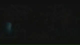 Lineage 2 Валлок L2off (Двери)