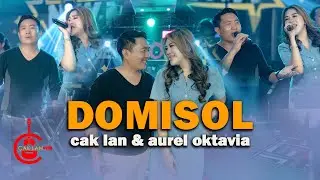 DOMISOL - CAKLAN & AUREL OKTAVIA - NEW MONATA