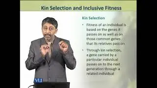 Kin Selection and Inclusive Fitness | Animal Physiology and Behavior (Theory) | ZOO502T_Topic262