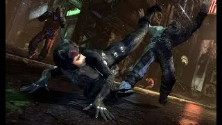 Museum Fight Arena Flawless Fight (Catwoman)
