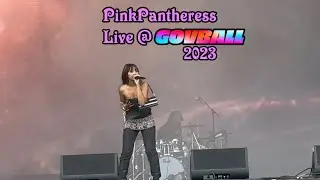 Pinkpantheress LIVE @GovBallNYC
