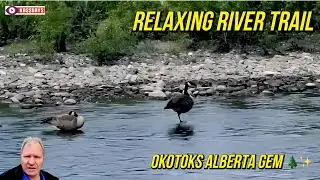 Peaceful Sheep River Walk: Stunning Nature Trail in Okotoks Alberta 🍃🌲