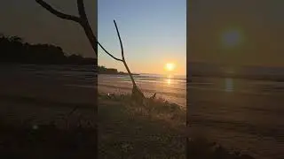 Darwin Tropical Sunset 🌅 | Mindil Beach Paradise Northern Territory Australia #shorts