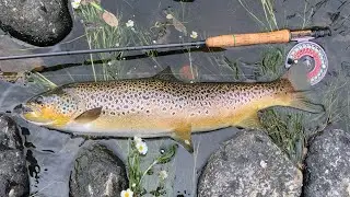 Floating the sighter low summer conditions!