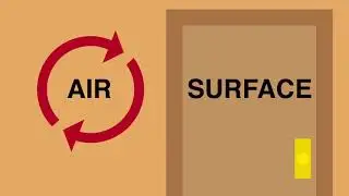 Home Inspections Plus   Mold Inspections