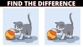 Epic Visual Hunt: Spot the Difference and Conquer!| Spot The Difference Challenge - 30
