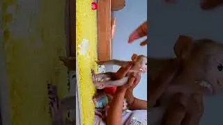 Baby Monkey NewBorn, Monkey Screaming, Monkey Rescue