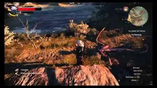Ekhidna Witcher 3 Bestiary