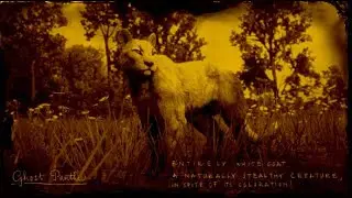 Legendary Animal Location - Ghost Panther